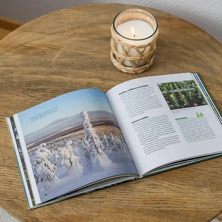 Nordic Red Hosted By Hygge Host Rovaniemi