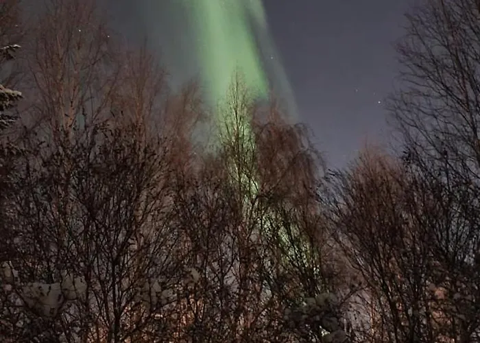 Nordic Red Hosted By Hygge Host